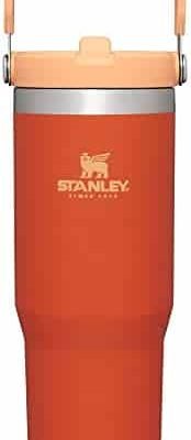Insulated Tumbler - 30 Ounce Capacity For Active Lifestyles