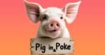 Learn the meaning of pig in a poke